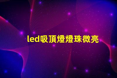 led吸頂燈燈珠微亮 led手電筒燈珠微亮